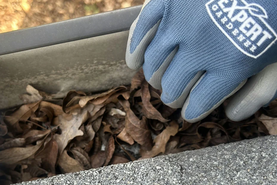 Gutter Cleaning Johns Creek GA