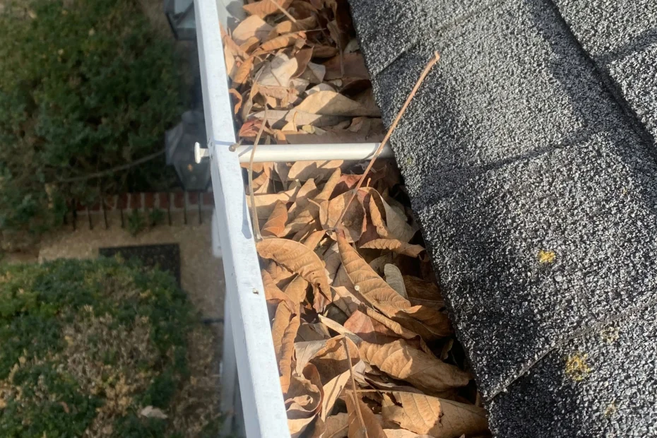 Gutter Cleaning Johns Creek GA