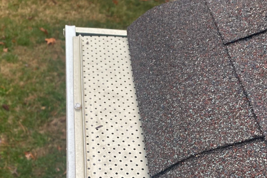 Gutter Cleaning Johns Creek GA